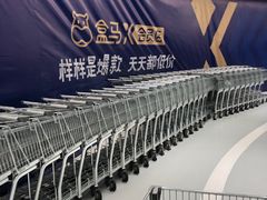 -盒马X会员店(上海森兰商都店)