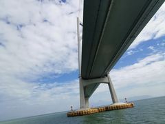 -招商蛇口邮轮母港(观光客运)