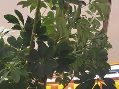 -桂满陇·手作小笼包&江南叫花鸡(中山公园店)