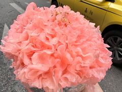 -朱光玉火锅馆(全国总店·金冠好店)
