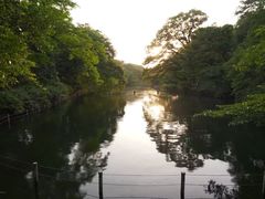 -井之头恩赐公园