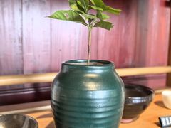 -韬光茶庵