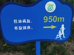 -西安市长乐公园