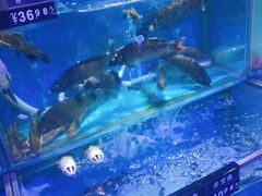 -北国超市(天河店)