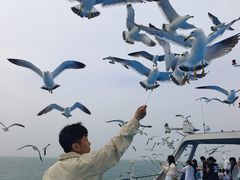 -海驴岛(荣成市)
