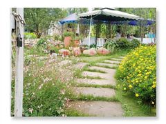 -三圣花乡旅游区