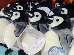 -太平洋海底世界