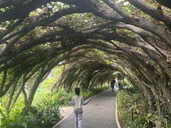 -广西壮族自治区药用植物园
