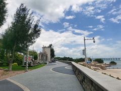 -宝安西湾红树林湿地公园