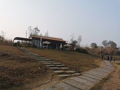 -桤木河湿地公园