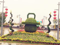 -金卉庄园