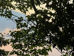 -萍乡武功山风景名胜区