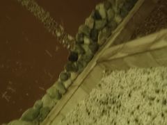 -水立方国际汤泉(六一中路店)