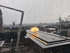 -王府井文华东方酒店-紫膳餐厅