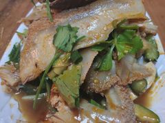涼拌牛腱牛肚双拼-胡同彭家老铺 新疆拉面