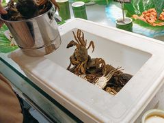 -御品海宴海鲜自助餐厅(龙岗万科广场店)