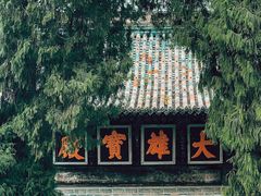 -报恩寺(平武县)