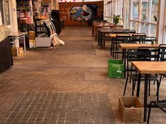 -百年夯碳烤胡椒饼(阿拉城店)