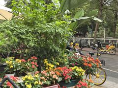 -山水茶艺馆·点心粤菜·30年老字号