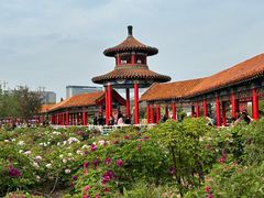 -曹州百花园