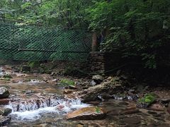 -本溪汤沟绿石谷森林公园
