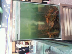 android_upload_pic-渔民新村(番禺总店)