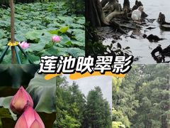 -海珠湖公园
