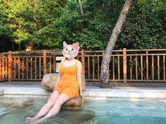 -天目湖涵田半山温泉