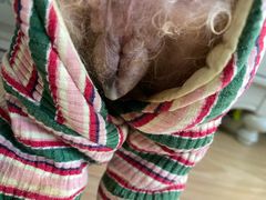 -良伴无忧宠物医院(泰欣嘉园店)