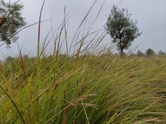 -汉长安城未央宫国家考古遗址公园