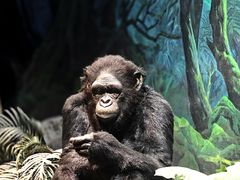 -国家自然博物馆