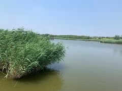 -西青郊野公园