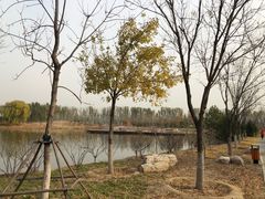 -东郊湿地公园