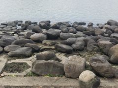 -上海月湖雕塑公园