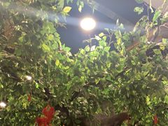 -胖姐烧烤(总店)