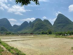 -村上春树