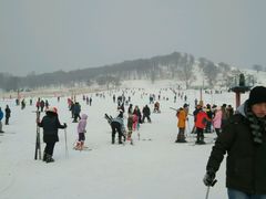 android_upload_pic-神鹿雪场