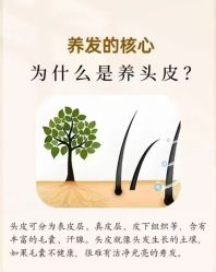 -Bollins波林丝•专研护发中心