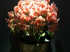 -璞·澐间影院式足道SPA(尚悦湾店)