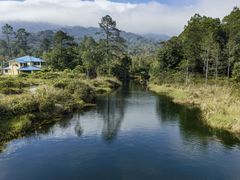 -海南热带雨林国家公园吊罗山景区