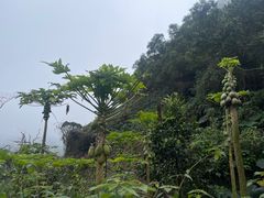 -海口火山口国家地质公园