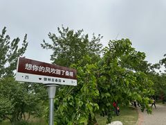 -御林古桑园