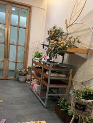 -芳香乐府疗愈空间·SPA·冥想