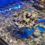 这家店想让更多天津人知道！真的好值👍🏻