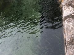 -沕沕水生态风景区