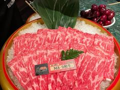 -牛New寿喜烧(金鹰世界店)