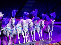 -珠海横琴长隆《卡卡虎奇遇记》