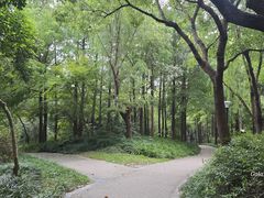 -新江湾城公园
