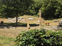 -北京野生动物园