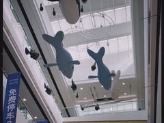 -上海颛桥万达广场